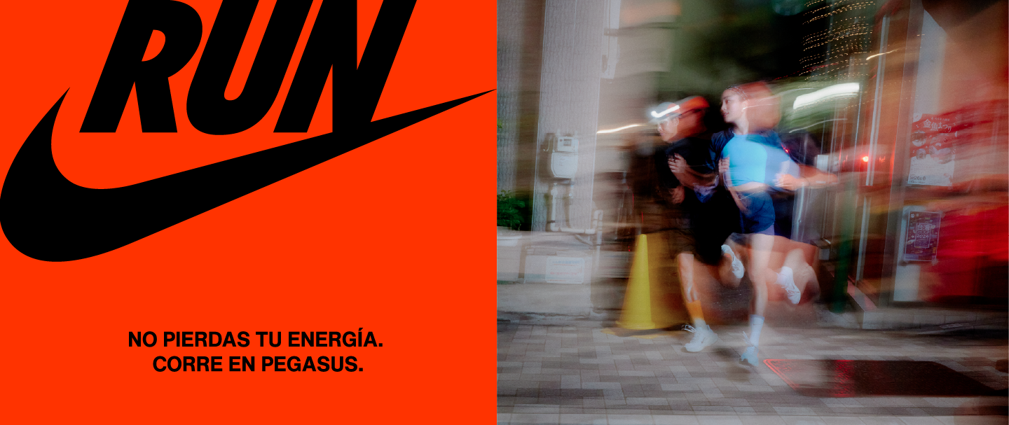 PEGASUS 41