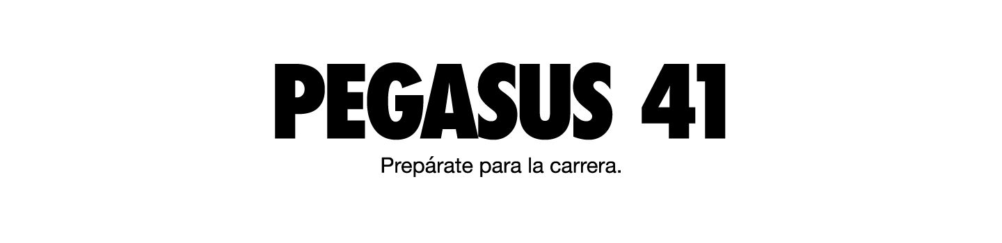 PEGASUS 41